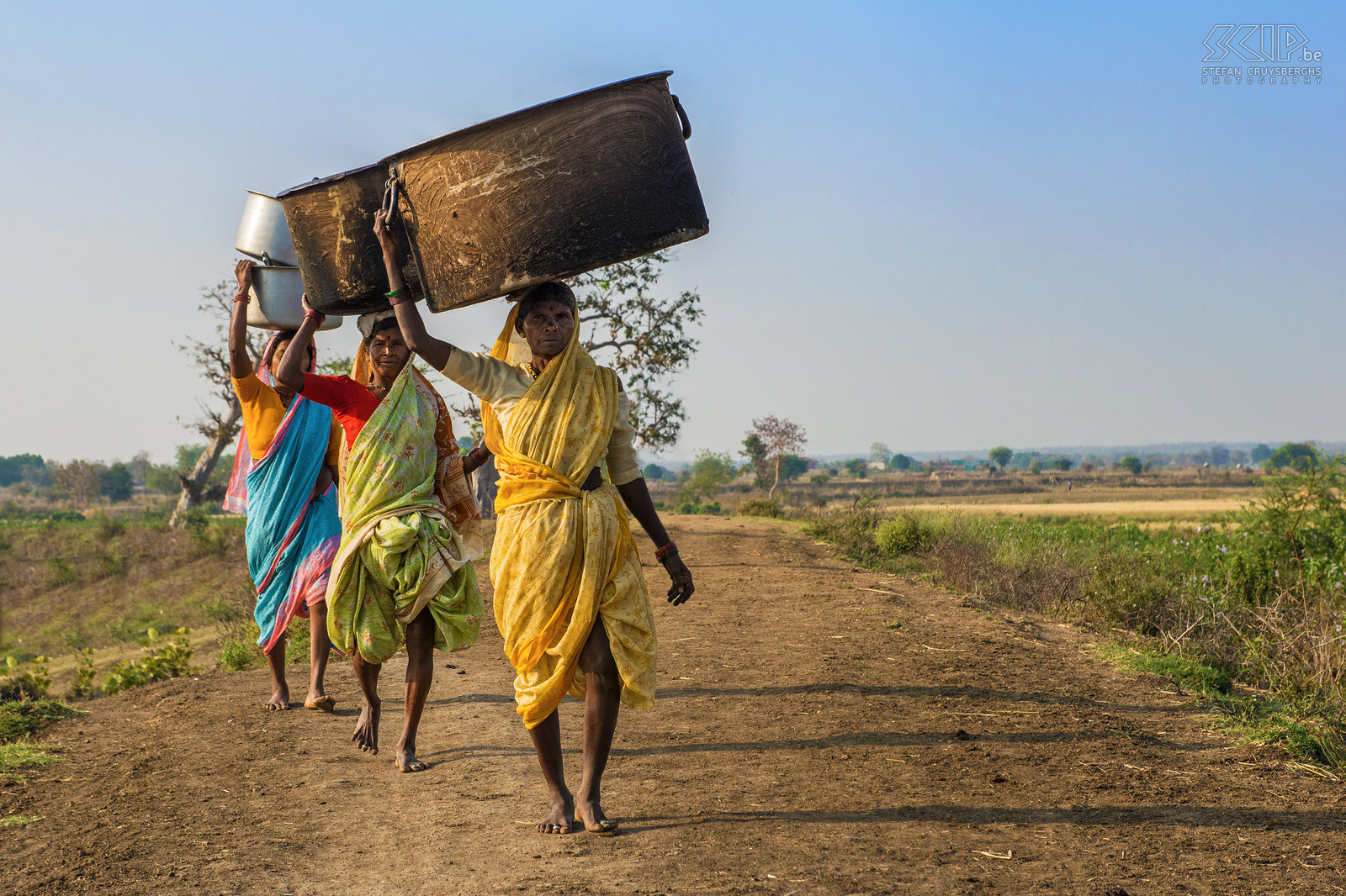 Tadoba - Gond women In a little rural village near Tadoba national park a group of colorful women are carrying very big fire pots on their head. The pots contain their cutlery and pans and they are going to the nearby lake to wash them. Stefan Cruysberghs